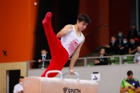 Thumbnail - Poland - Artistic Gymnastics - 2021 - egWohnen Juniorstrophy - Participants 02042_11738.jpg