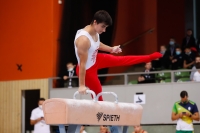 Thumbnail - Poland - Artistic Gymnastics - 2021 - egWohnen Juniorstrophy - Participants 02042_11742.jpg