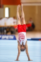 Thumbnail - Poland - Спортивная гимнастика - 2021 - egWohnen Juniorstrophy - Participants 02042_12379.jpg