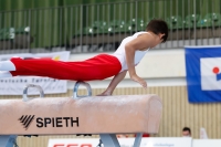 Thumbnail - JT3 - Tomasz Le Khac - Artistic Gymnastics - 2021 - egWohnen Juniorstrophy - Participants - Poland 02042_12447.jpg