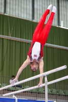 Thumbnail - JT2 - Roberts Demidovics - Спортивная гимнастика - 2021 - egWohnen Juniorstrophy - Participants - Latvia 02042_14225.jpg