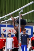 Thumbnail - France - Artistic Gymnastics - 2021 - egWohnen Juniorstrophy - Participants 02042_15203.jpg