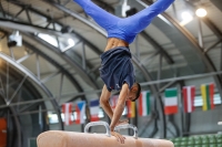 Thumbnail - JT1 - Rubens Borges-Correia - Спортивная гимнастика - 2021 - egWohnen Juniorstrophy - Participants - France 02042_15403.jpg
