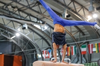 Thumbnail - JT1 - Rubens Borges-Correia - Artistic Gymnastics - 2021 - egWohnen Juniorstrophy - Participants - France 02042_15422.jpg