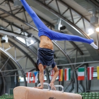 Thumbnail - JT1 - Rubens Borges-Correia - Artistic Gymnastics - 2021 - egWohnen Juniorstrophy - Participants - France 02042_15429.jpg