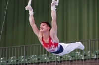 Thumbnail - JT3 - Evan McPhillips - Gymnastique Artistique - 2021 - egWohnen Juniorstrophy - Participants - Great Britain 02042_17805.jpg