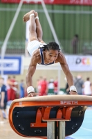 Thumbnail - France - Спортивная гимнастика - 2021 - egWohnen Juniorstrophy - Participants 02042_17889.jpg