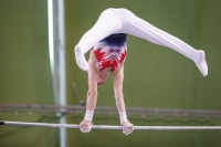 Thumbnail - JT3 - Evan McPhillips - Artistic Gymnastics - 2021 - egWohnen Juniorstrophy - Participants - Great Britain 02042_18031.jpg