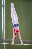 Thumbnail - JT3 - George Atkins - Artistic Gymnastics - 2021 - egWohnen Juniorstrophy - Participants - Great Britain 02042_18049.jpg