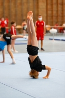 Thumbnail - Schleswig-Holstein - Jonas Elias Kirsch - Artistic Gymnastics - 2021 - Deutschlandpokal Schwäbisch-Gmünd - Teilnehmer - AK 11 bis 12 02043_13014.jpg