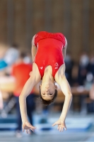 Thumbnail - Brandenburg - Anton Gerards - Gymnastique Artistique - 2021 - Deutschlandpokal Schwäbisch-Gmünd - Teilnehmer - AK 11 bis 12 02043_13986.jpg