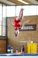 Thumbnail - Brandenburg - Artem Yarovyi - Gymnastique Artistique - 2021 - Deutschlandpokal Schwäbisch-Gmünd - Teilnehmer - AK 11 bis 12 02043_14723.jpg