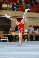 Thumbnail - Brandenburg - Anton Gerards - Artistic Gymnastics - 2021 - Deutschlandpokal Schwäbisch-Gmünd - Teilnehmer - AK 11 bis 12 02043_15038.jpg