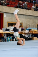 Thumbnail - AK 11 bis 12 - Artistic Gymnastics - 2021 - Deutschlandpokal Schwäbisch-Gmünd - Teilnehmer 02043_15929.jpg