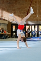 Thumbnail - Saarland - Max Steinmetz - Gymnastique Artistique - 2021 - Deutschlandpokal Schwäbisch-Gmünd - Teilnehmer - AK 11 bis 12 02043_16232.jpg