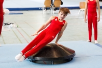 Thumbnail - Brandenburg - Artem Yarovyi - Gymnastique Artistique - 2021 - Deutschlandpokal Schwäbisch-Gmünd - Teilnehmer - AK 11 bis 12 02043_16491.jpg