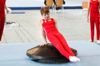 Thumbnail - Brandenburg - Artem Yarovyi - Gymnastique Artistique - 2021 - Deutschlandpokal Schwäbisch-Gmünd - Teilnehmer - AK 11 bis 12 02043_16493.jpg