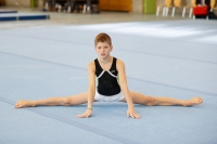 Thumbnail - AK 11 bis 12 - Artistic Gymnastics - 2021 - Deutschlandpokal Schwäbisch-Gmünd - Teilnehmer 02043_16618.jpg