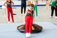 Thumbnail - AK 11 bis 12 - Ginnastica Artistica - 2021 - Deutschlandpokal Schwäbisch-Gmünd - Teilnehmer 02043_17490.jpg