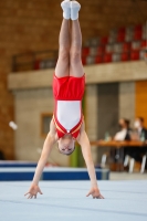 Thumbnail - AK 11 bis 12 - Artistic Gymnastics - 2021 - Deutschlandpokal Schwäbisch-Gmünd - Teilnehmer 02043_18172.jpg