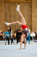 Thumbnail - Niedersachsen - Luis Pablo Hornig Angeles - Artistic Gymnastics - 2021 - Deutschlandpokal Schwäbisch-Gmünd - Teilnehmer - AK 11 bis 12 02043_18763.jpg