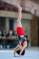 Thumbnail - Niedersachsen - Alin Gabriel Petcu - Artistic Gymnastics - 2021 - Deutschlandpokal Schwäbisch-Gmünd - Teilnehmer - AK 09 bis 10 02043_23671.jpg