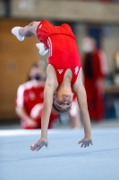 Thumbnail - Brandenburg - Pepe Kuke - Gymnastique Artistique - 2021 - Deutschlandpokal Schwäbisch-Gmünd - Teilnehmer - AK 09 bis 10 02043_24246.jpg