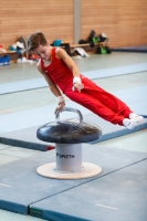 Thumbnail - Hessen - Noah Julian Pelzer - Gymnastique Artistique - 2021 - Deutschlandpokal Schwäbisch-Gmünd - Teilnehmer - AK 09 bis 10 02043_24991.jpg