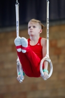 Thumbnail - Brandenburg - Mateo Linus Knappe - Artistic Gymnastics - 2021 - Deutschlandpokal Schwäbisch-Gmünd - Teilnehmer - AK 09 bis 10 02043_27618.jpg