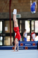 Thumbnail - Hessen - Davis Elias Pister - Gymnastique Artistique - 2021 - Deutschlandpokal Schwäbisch-Gmünd - Teilnehmer - AK 09 bis 10 02043_29088.jpg