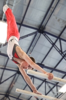 Thumbnail - German Chebotarev - Gymnastique Artistique - 2022 - NBL Ost Halle - Teilnehmer - Berlin 02045_00203.jpg