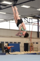 Thumbnail - Halle - Gymnastique Artistique - 2022 - NBL Ost Halle - Teilnehmer 02045_00948.jpg