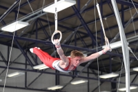 Thumbnail - Luc Löwe - Artistic Gymnastics - 2022 - NBL Ost Halle - Teilnehmer - Berlin 02045_01121.jpg