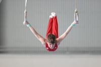 Thumbnail - Felix Seemann - Artistic Gymnastics - 2022 - NBL Ost Halle - Teilnehmer - Cottbus 02045_01741.jpg