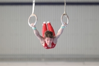 Thumbnail - Felix Seemann - Artistic Gymnastics - 2022 - NBL Ost Halle - Teilnehmer - Cottbus 02045_01751.jpg