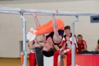 Thumbnail - Philipp Tiedt - Artistic Gymnastics - 2022 - NBL Ost Halle - Teilnehmer - Team Nord 02045_02244.jpg