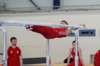 Thumbnail - Elyas Nabi - Artistic Gymnastics - 2022 - NBL Ost Halle - Teilnehmer - Cottbus 02045_02369.jpg