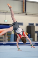 Thumbnail - Berlin - Gymnastique Artistique - 2022 - NBL Ost Halle - Teilnehmer 02045_02916.jpg