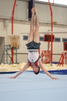 Thumbnail - Berlin - Gymnastique Artistique - 2022 - NBL Ost Halle - Teilnehmer 02045_03026.jpg