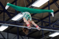 Thumbnail - Bence Szabo - Artistic Gymnastics - 2022 - NBL Ost Halle - Teilnehmer - Halle 02045_03081.jpg