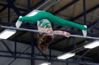 Thumbnail - Bence Szabo - Artistic Gymnastics - 2022 - NBL Ost Halle - Teilnehmer - Halle 02045_03082.jpg