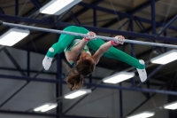 Thumbnail - Bence Szabo - Ginnastica Artistica - 2022 - NBL Ost Halle - Teilnehmer - Halle 02045_03083.jpg