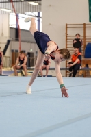 Thumbnail - Team Nord - Artistic Gymnastics - 2022 - NBL Ost Halle - Teilnehmer 02045_03200.jpg