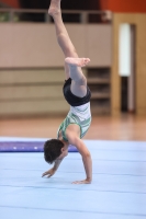 Thumbnail - Joshua Tandel - Gymnastique Artistique - 2022 - NBL Ost Cottbus - Teilnehmer - SV Halle 02048_00371.jpg