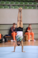 Thumbnail - SV Halle - Gymnastique Artistique - 2022 - NBL Ost Cottbus - Teilnehmer 02048_00524.jpg