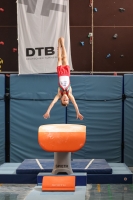 Thumbnail - Baden - Ole Richard Seidel - Спортивная гимнастика - 2022 - DJM Goslar - Participants - Age Group 12 02050_01601.jpg