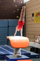 Thumbnail - Brandenburg - Carlo Wetzk - Спортивная гимнастика - 2022 - DJM Goslar - Participants - Age Group 12 02050_02842.jpg