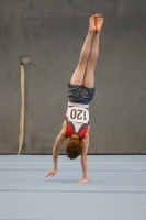 Thumbnail - Berlin - German Chebotarev - Gymnastique Artistique - 2022 - DJM Goslar - Participants - AK 13 und 14 02050_06509.jpg