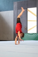 Thumbnail - Brandenburg - Anton Gerards - Artistic Gymnastics - 2022 - DJM Goslar - Participants - AK 13 und 14 02050_06965.jpg