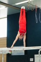 Thumbnail - Brandenburg - Anton Gerards - Gymnastique Artistique - 2022 - DJM Goslar - Participants - AK 13 und 14 02050_07096.jpg